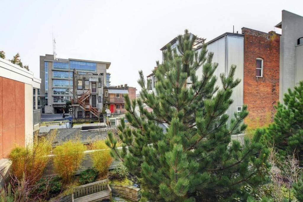 Clean 3rd Floor Executive 1 Bedroom Apt In Old Town China Town *